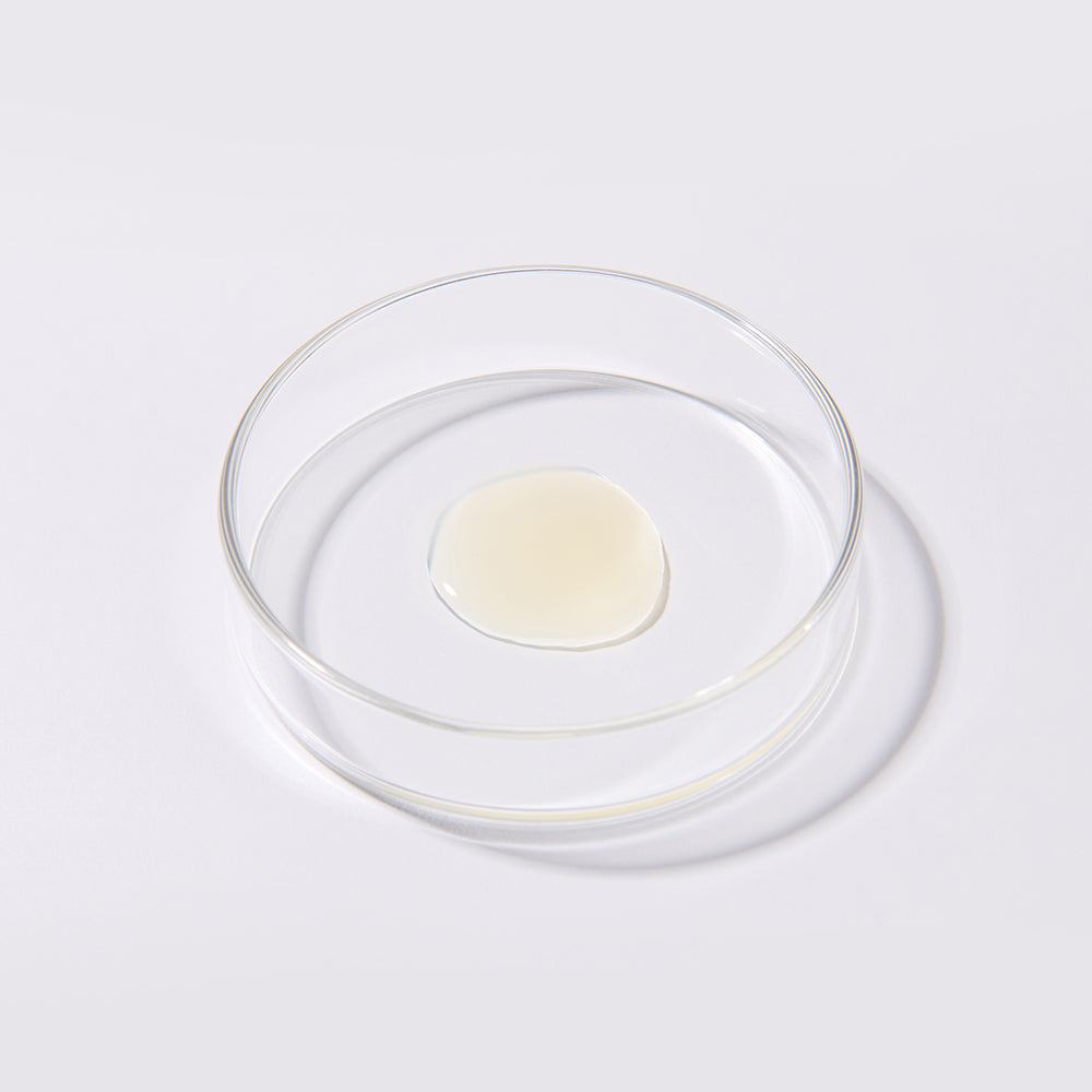 NFC Organic Lemon Ginger Juice